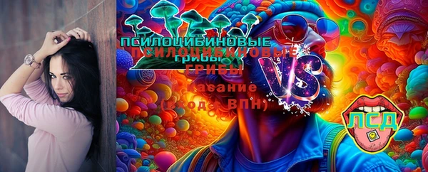 спайс Аркадак