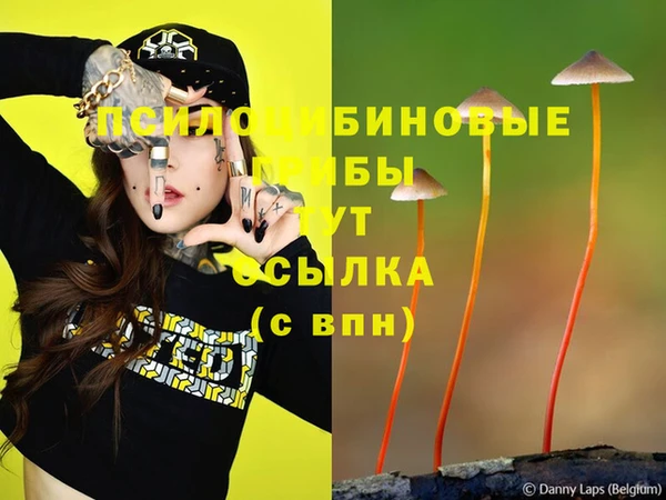 спайс Аркадак