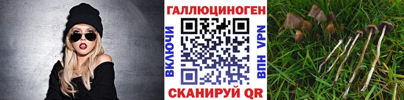 Галлюциногенные грибы MAGIC MUSHROOMS  Среднеколымск 